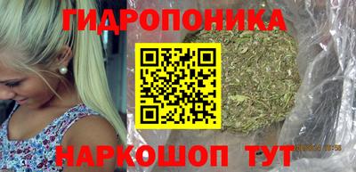 прущие грибы Жуковский