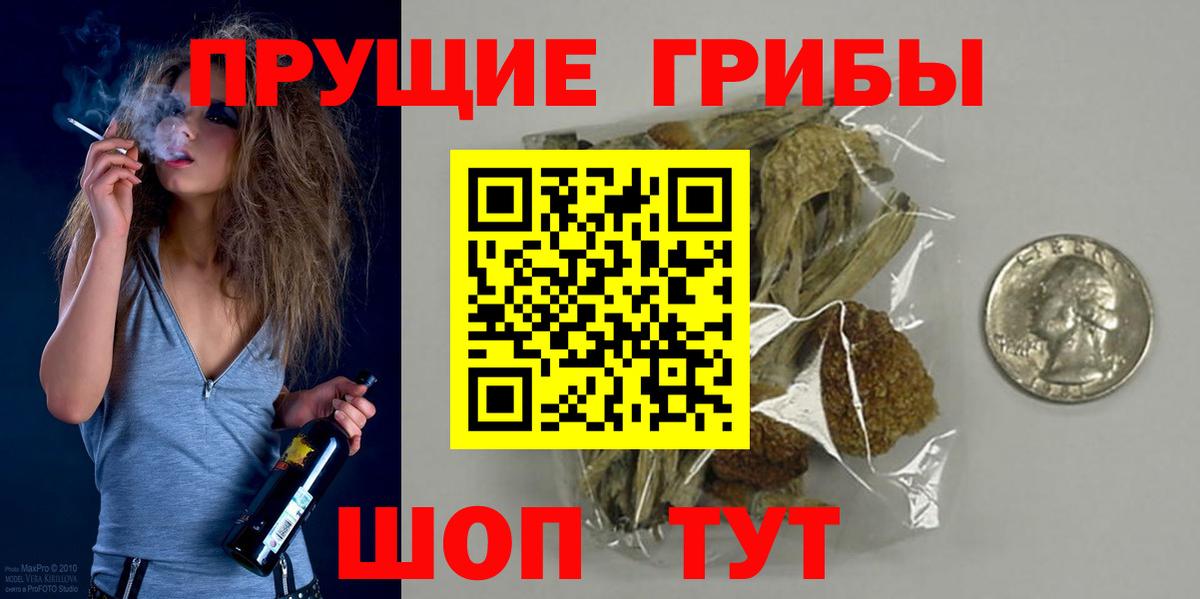 Избербаш  Галлюциногенные грибы Cubensis  закладки  Вход с VPN 
